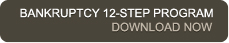 Bankruptcy 12-Step Program - Download Now